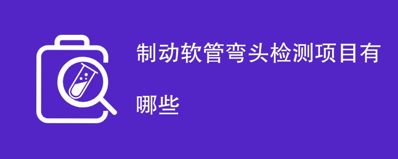 制动软管弯头检测项目有哪些