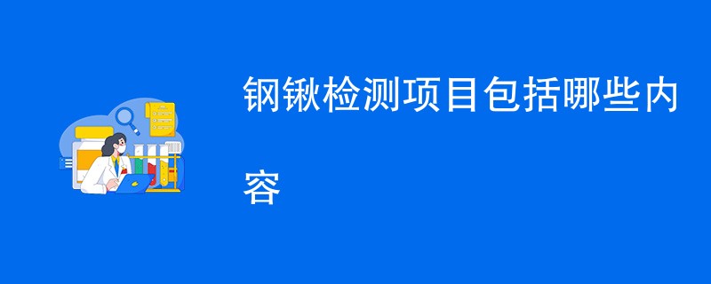 钢锹检测项目包括哪些内容