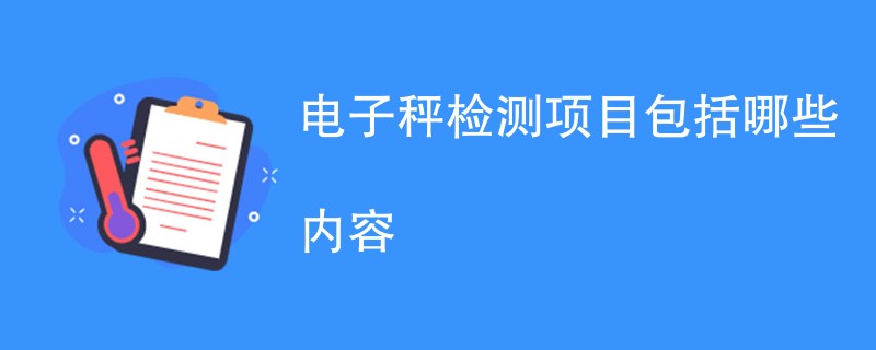 电子秤检测项目包括哪些内容