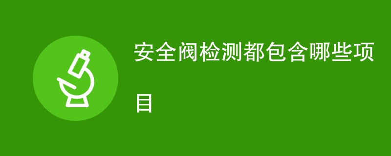 安全阀检测都包含哪些项目