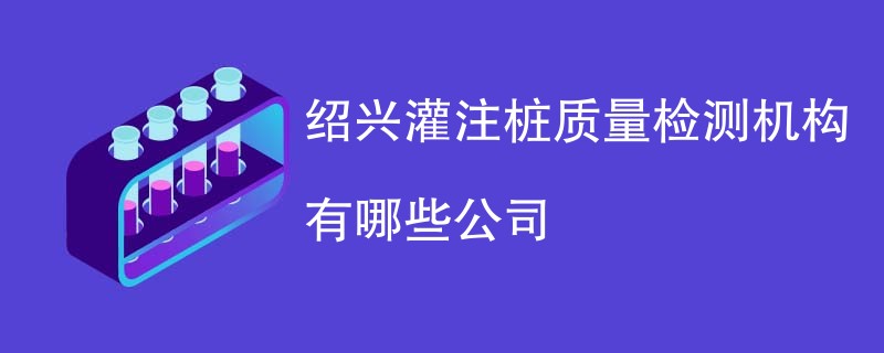 绍兴灌注桩质量检测机构有哪些公司